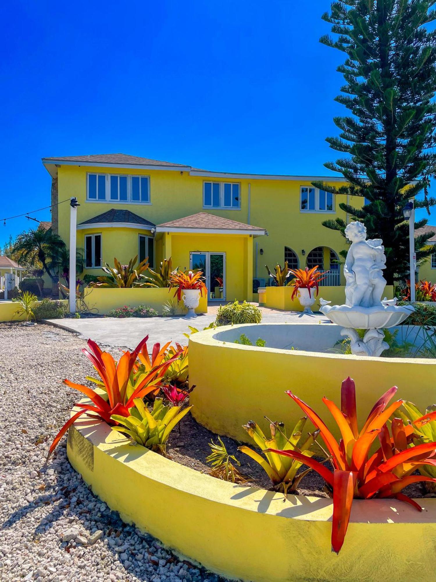 Bed and Breakfast Golden Palms House Нассау Экстерьер фото